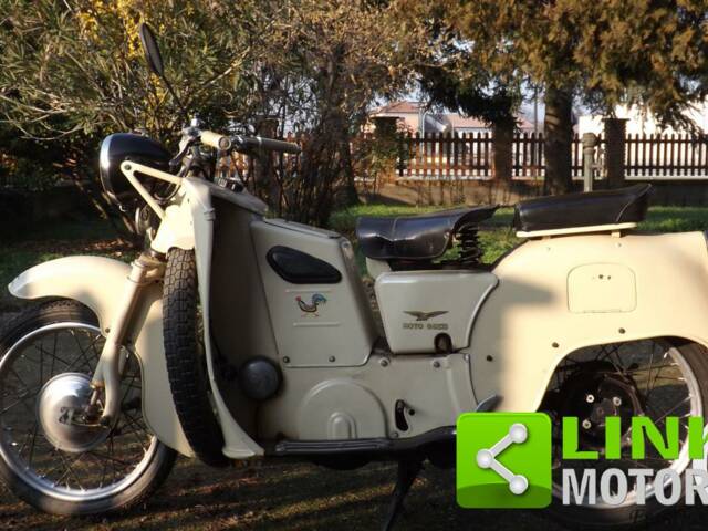 Bild 1/10 von Moto Guzzi DUMMY (1960)