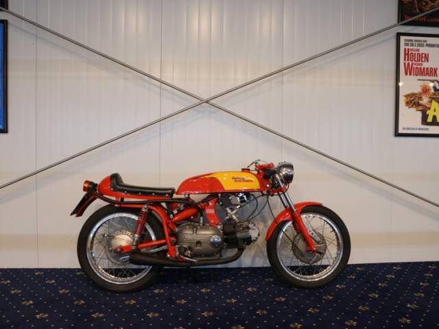 Aermacchi Ala Verde