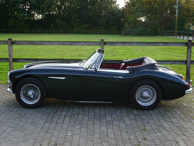 Austin-Healey 3000 Mk III (BJ8)