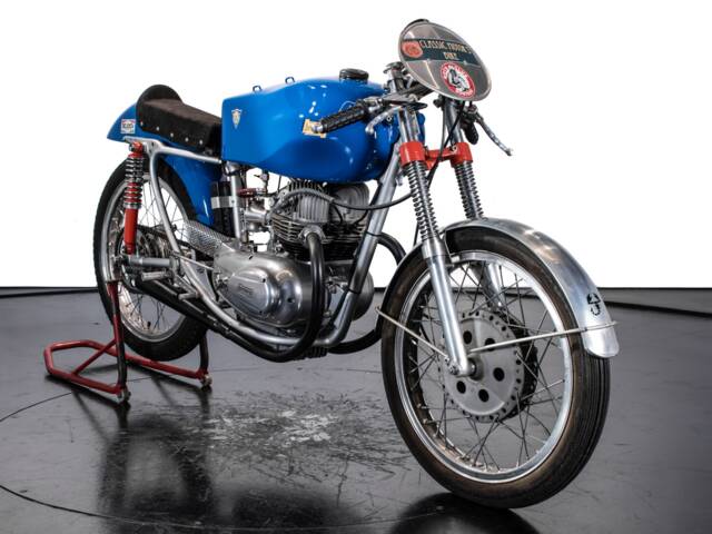 Berneg Fario 175