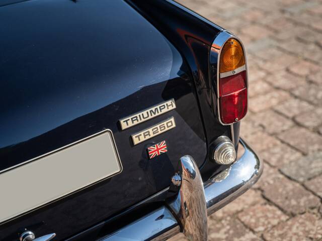 Triumph TR 250