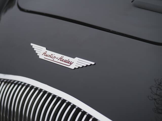 Austin-Healey 100/4 (BN2)