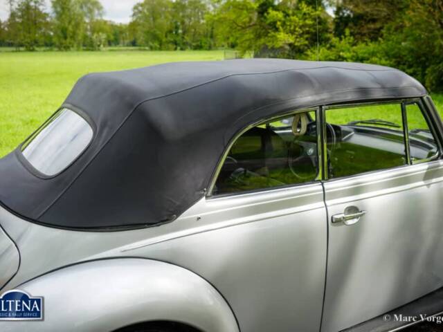 Volkswagen Beetle 1303