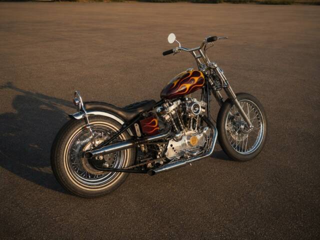 Harley-Davidson Easy Rider Billy Bike