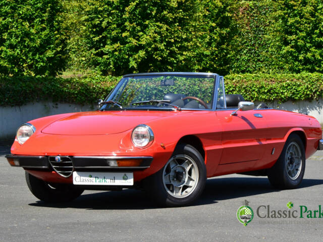 Imagen 1/50 de Alfa Romeo 2000 Spider Veloce (1981)