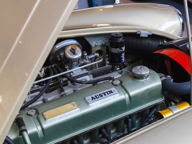 Austin-Healey 3000 Mk II (BJ7)