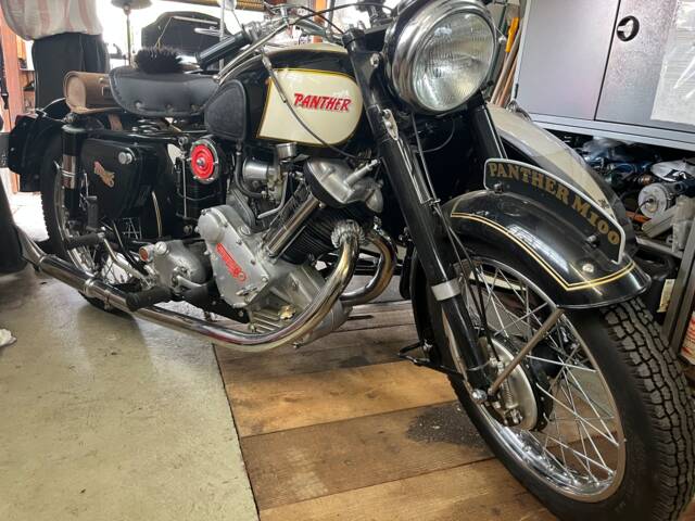 Panther 600 M 100
