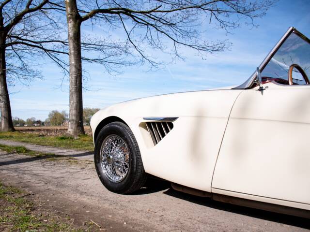 Austin-Healey 100/6 (BN4)