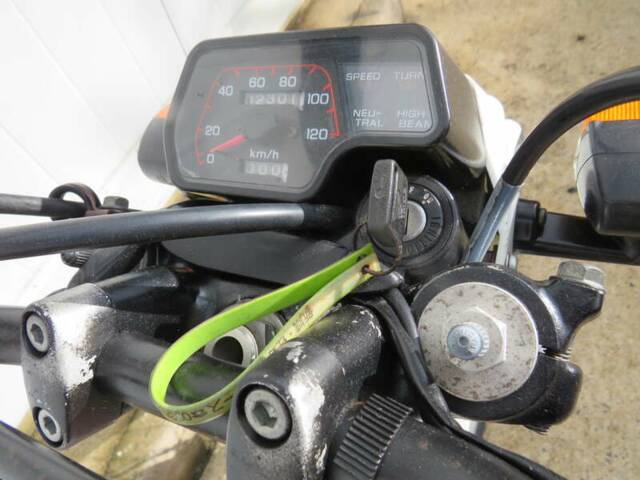 Honda TLR 250