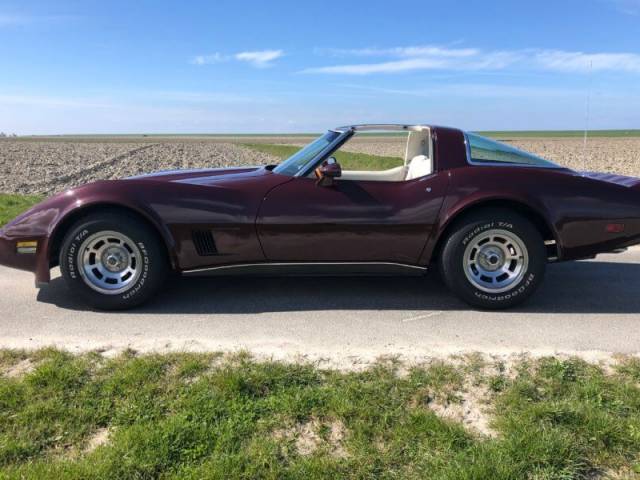 Chevrolet Corvette Sting Ray