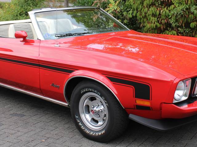 Bild 1/14 von Ford Mustang 351 (1973)