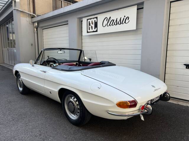 Alfa Romeo 1300 Spider Junior