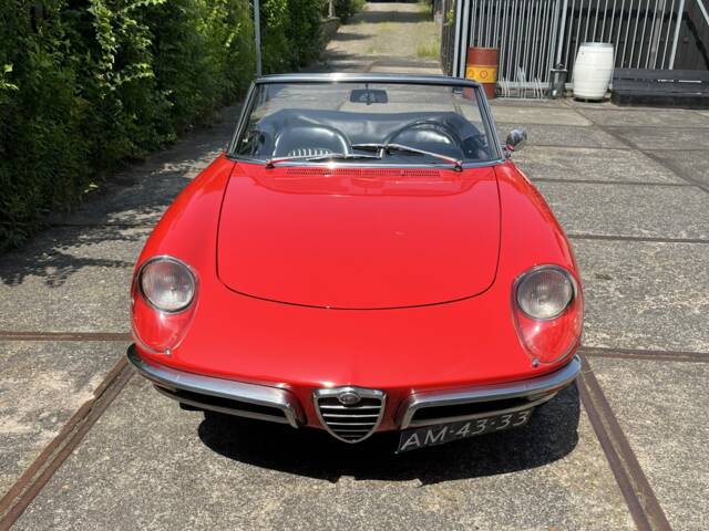 Image 1/7 of Alfa Romeo 1600 Spider Duetto (1967)