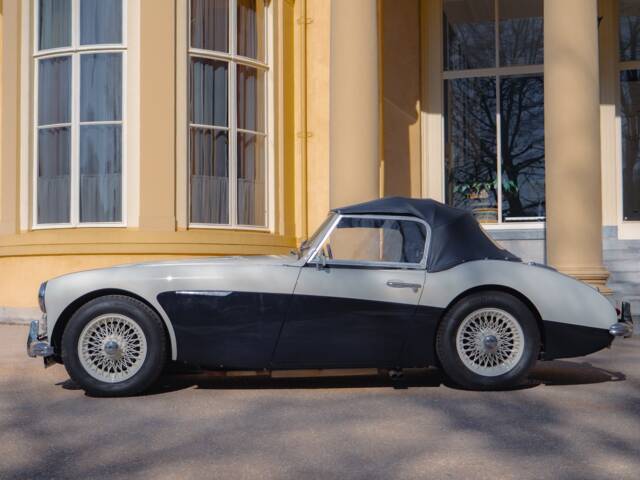 Austin-Healey 100/6 (BN4)
