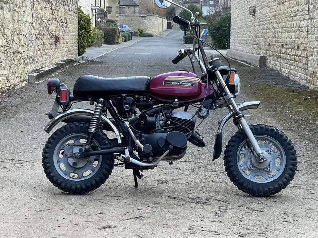 Bild 1/20 von AMF Harley-Davidson DUMMY (1975)