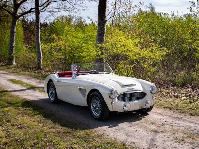 Austin-Healey 100/6 (BN4)