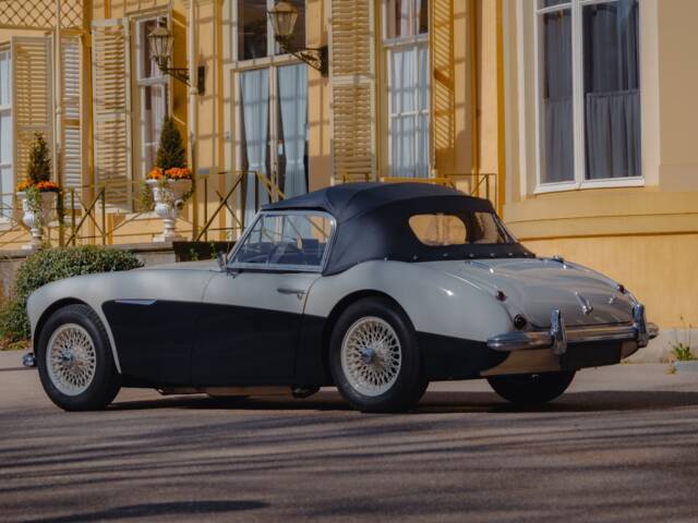 Austin-Healey 100/6 (BN4)