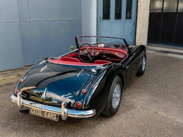 Austin-Healey 3000 Mk II (BN7)