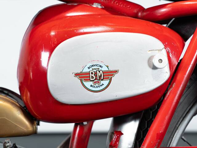 BM Jaguarino 50