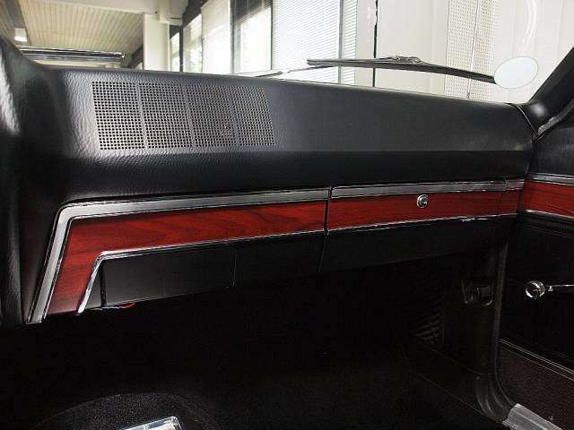 AMC Marlin