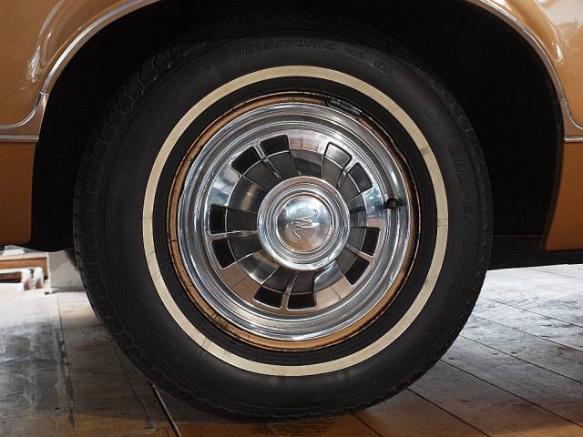 AMC Marlin