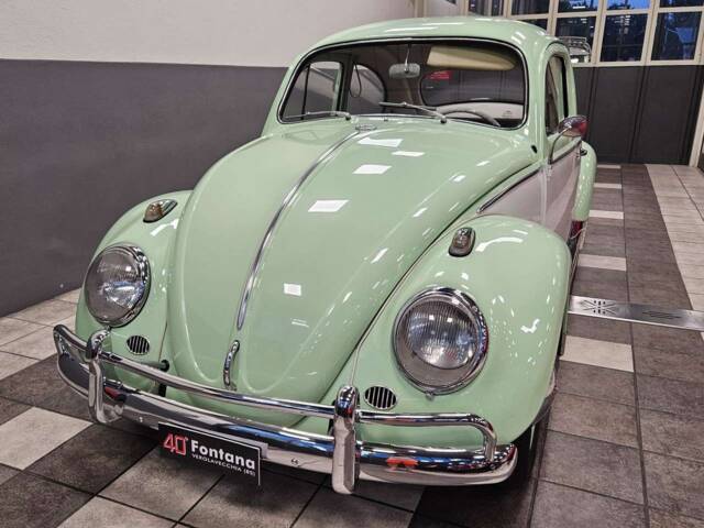 Image 1/19 of Volkswagen Beetle 1200 A (1964)