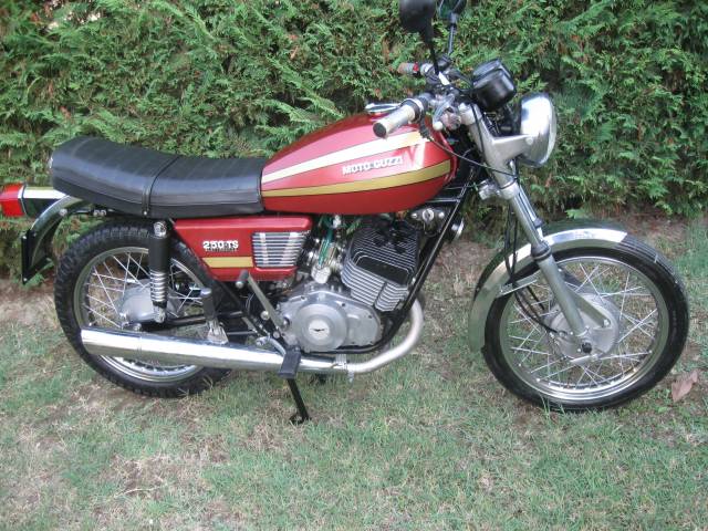 Bild 1/20 von Moto Guzzi DUMMY (1973)