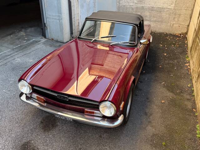 Triumph TR 6 PI
