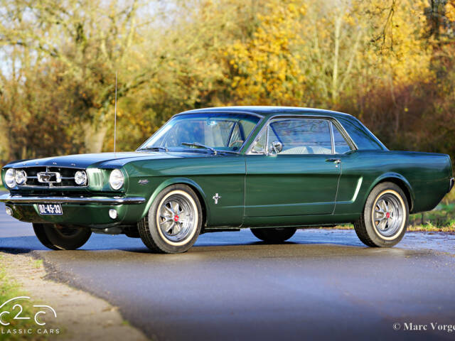 Bild 1/58 von Ford Mustang 289 (1965)