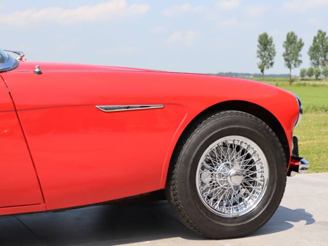 Austin-Healey 3000 Mk III (BJ8)