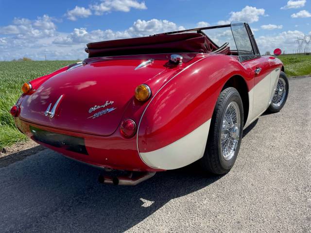 Austin-Healey 3000 Mk III (BJ8)