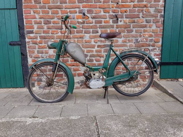 Bild 1/25 von Meister DUMMY (1954)