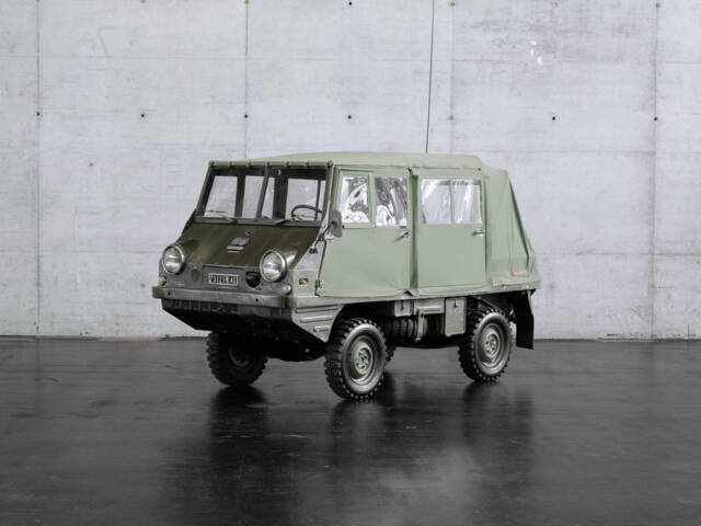 Image 1/24 de Steyr-Puch Haflinger (1959)