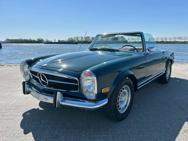 Bild 1/6 von Mercedes-Benz 250 SL (1968)