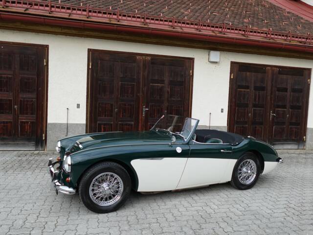 Austin-Healey 100/6 (BN6)