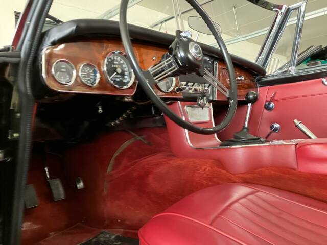 Austin-Healey 3000 Mk III (BJ8)