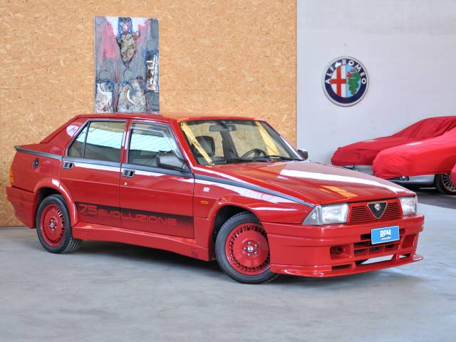 Bild 1/50 von Alfa Romeo 75 1.8 Turbo Evoluzione (1987)