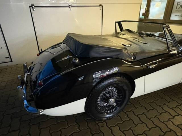 Austin-Healey 3000 Mk II (BJ7)