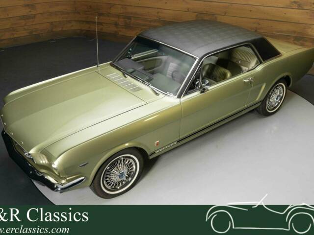 Immagine 1/19 di Ford Mustang GT (1966)