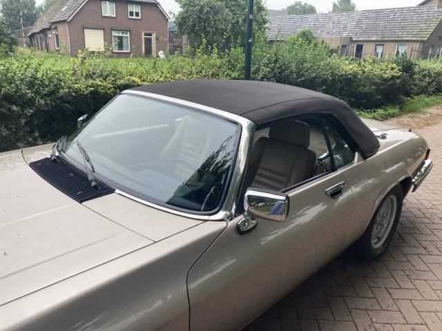 Jaguar XJS 5.3 V12 - Www.ClassicCarSharks.com