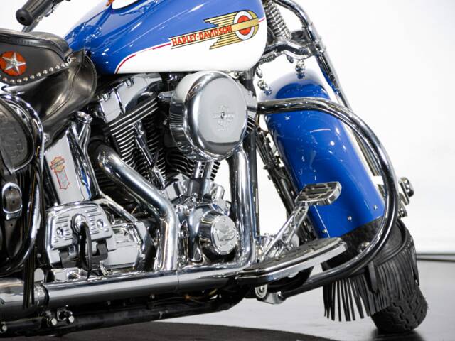 Harley-Davidson FXSTS Softail Springer