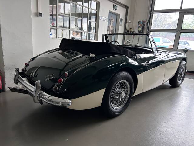 Austin-Healey 3000 Mk II (BJ7)