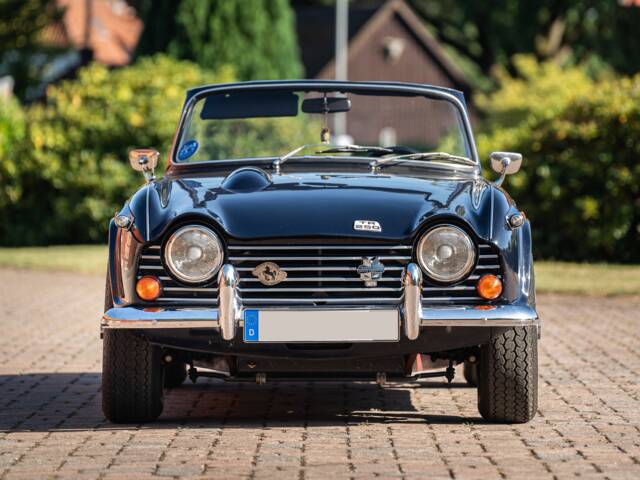 Triumph TR 250