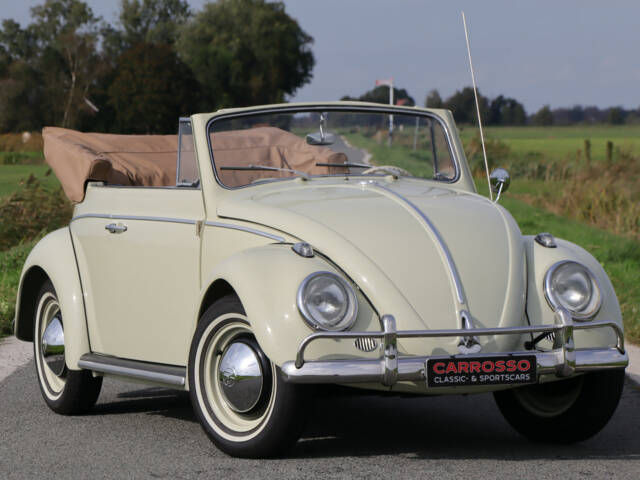 Image 1/50 de Volkswagen Coccinelle Speedster (1963)