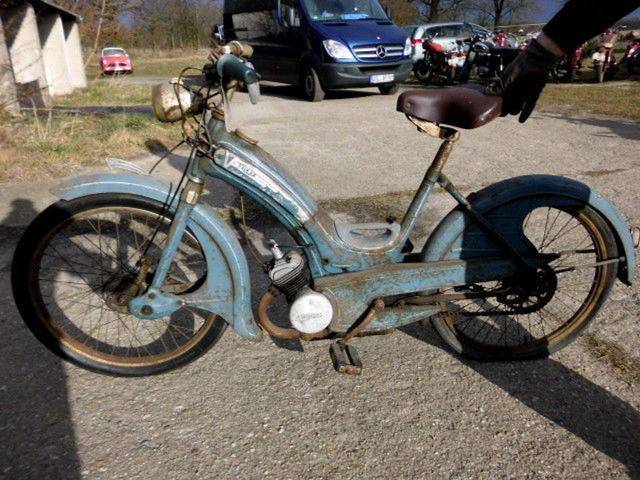 Bild 1/15 von Victoria DUMMY (1956)