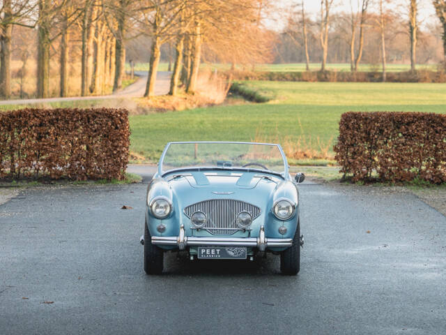 Austin-Healey 100/4 (BN1)