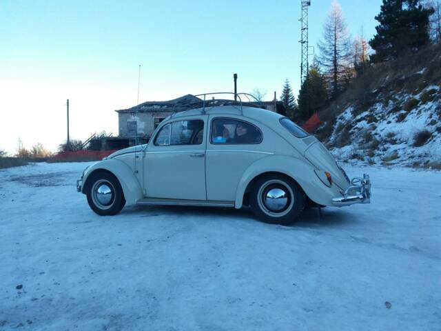 Bild 1/12 von Volkswagen Beetle 1200 (1964)