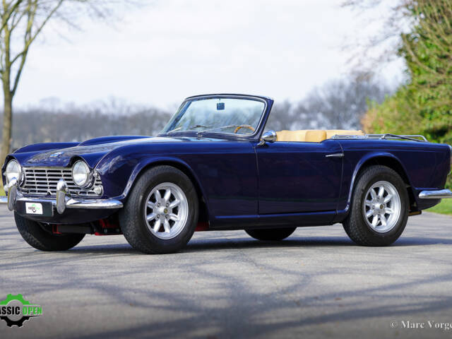 Image 1/49 of Triumph TR 4 (1962)