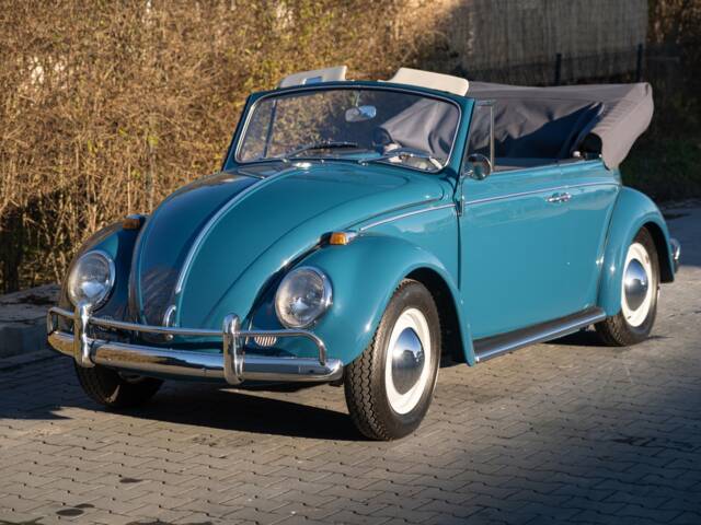 Bild 1/33 von Volkswagen Käfer 1200 (1965)