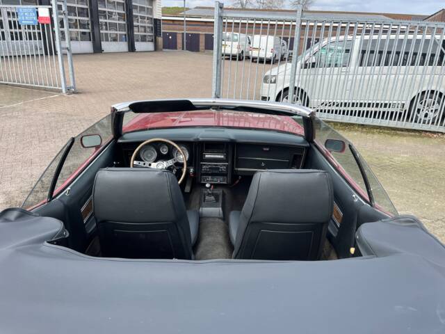 Ford Mustang 250